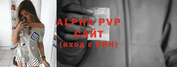 гашик Арсеньев