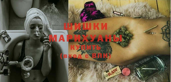гашик Арсеньев