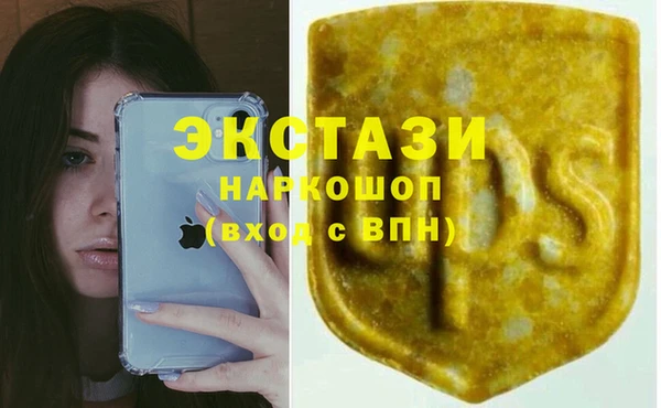 гашик Арсеньев