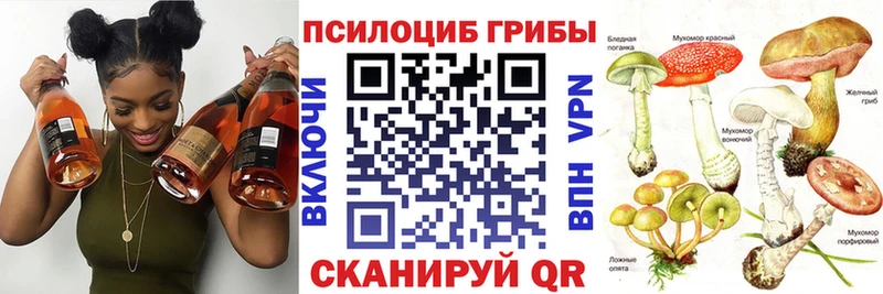 Псилоцибиновые грибы мицелий  Балей 